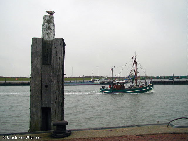 pa141607.jpg