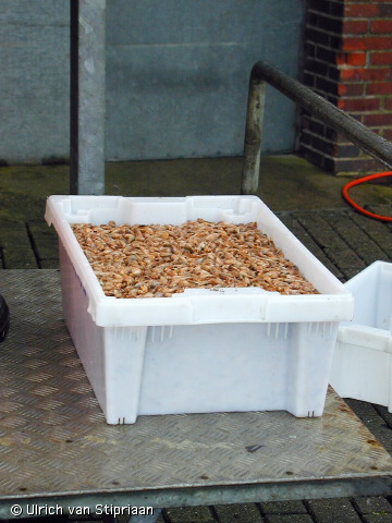 pa141608.jpg