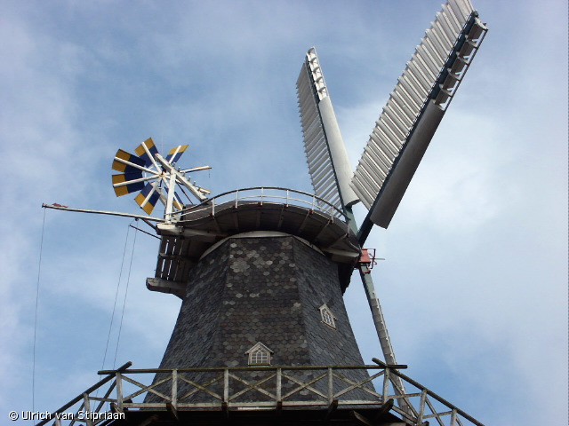 pict0025.jpg