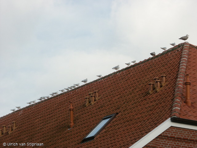 pict0064.jpg