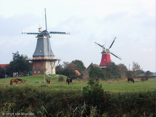 pict0065.jpg
